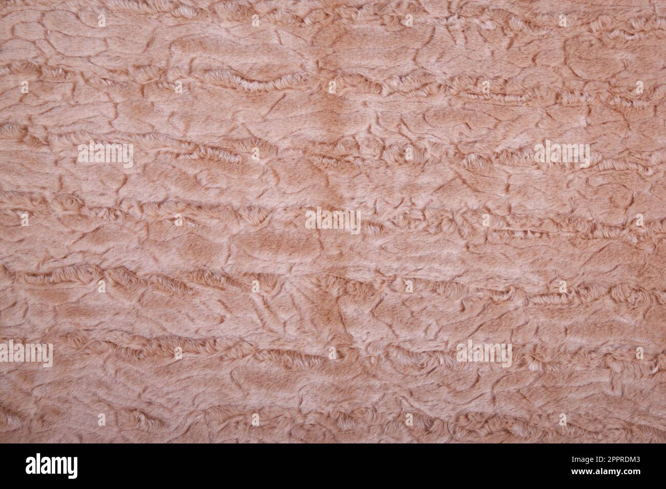 beige dorato o pelliccia sintetica marrone chiaro tessuto coperta shaggy come sfondo. Soffice pelliccia di tessuto. Foto Stock