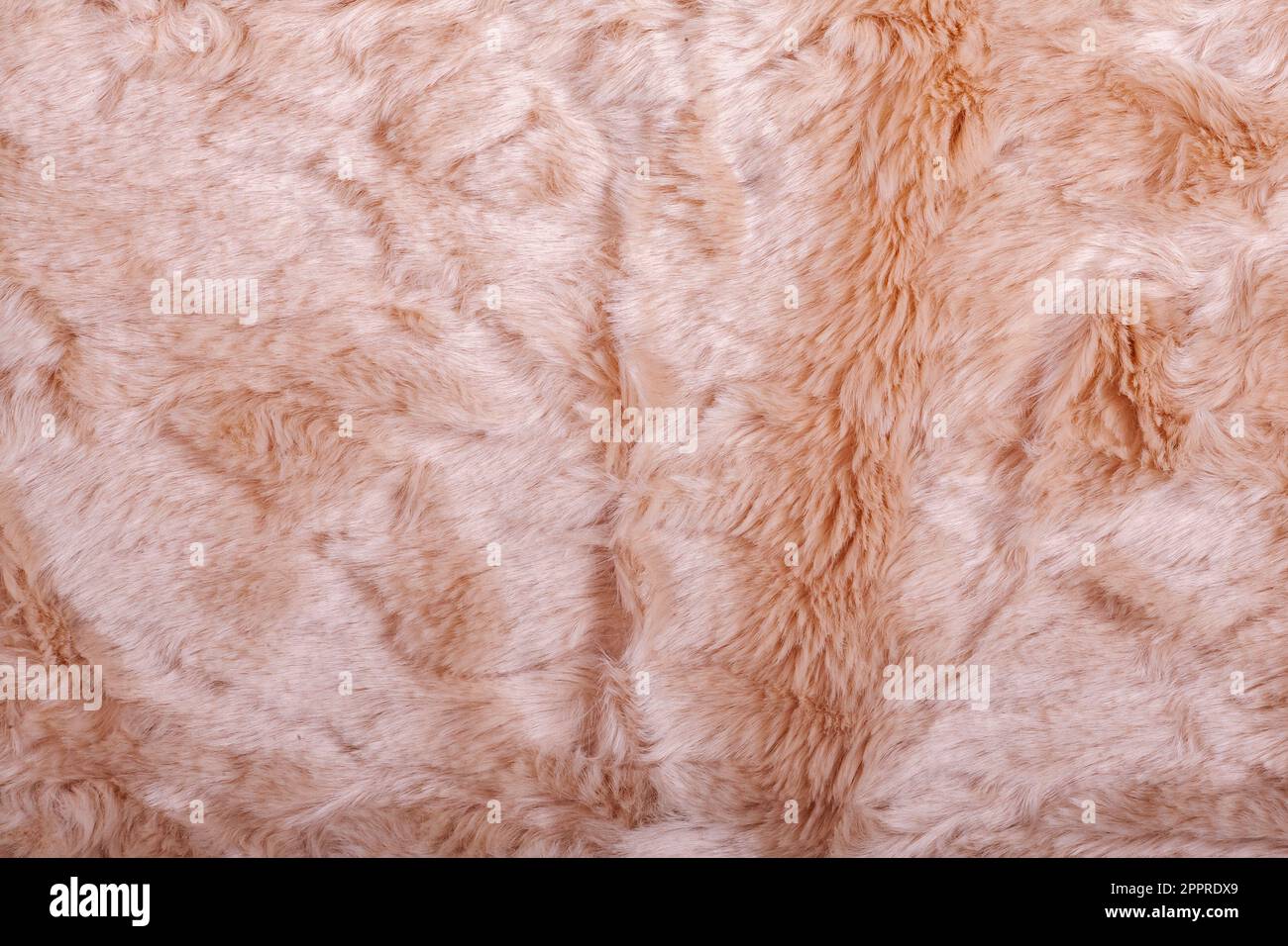 beige dorato o pelliccia sintetica marrone chiaro tessuto coperta shaggy come sfondo. Soffice pelliccia di tessuto. Foto Stock
