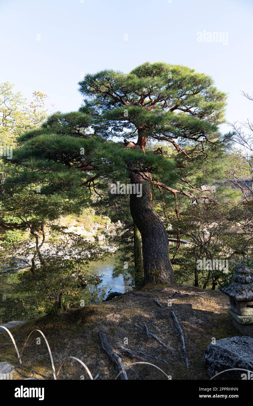 Katsura Imperial Villa costruita come una proprietà principesca nel 17th ° secolo è uno dei migliori esempi di architettura giapponese e di design del giardino. Foto Stock