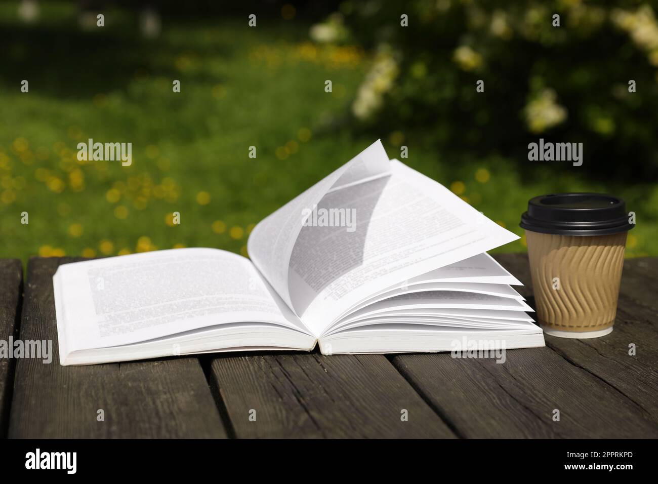 Apri la tazzina da caffè di carta e libro su un tavolo di legno all'aperto Foto Stock