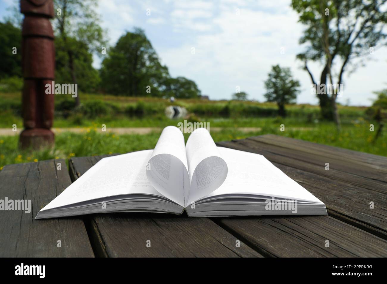 Libro aperto su tavolo di legno in campagna Foto Stock