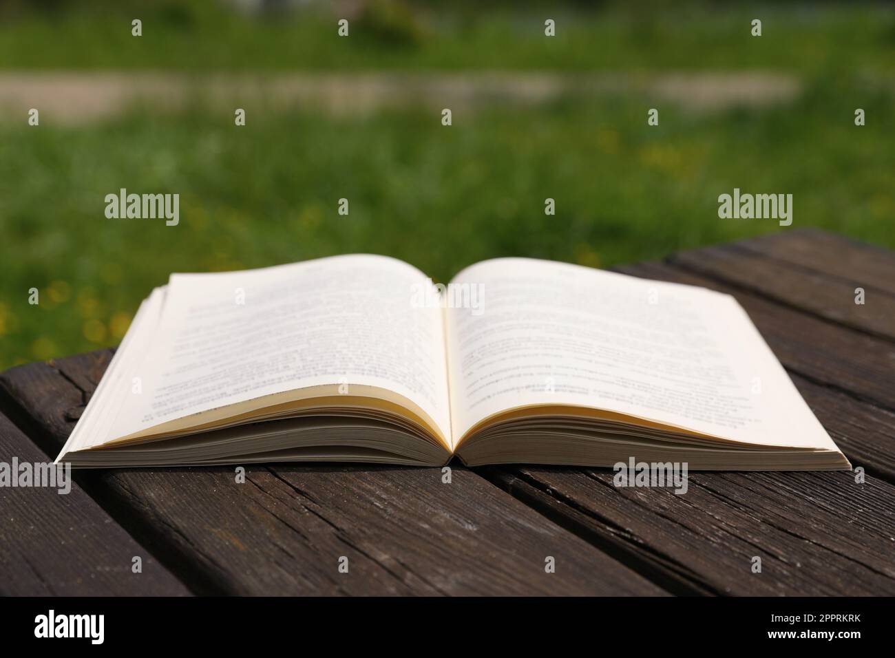 Libro aperto su tavolo di legno nel parco Foto Stock