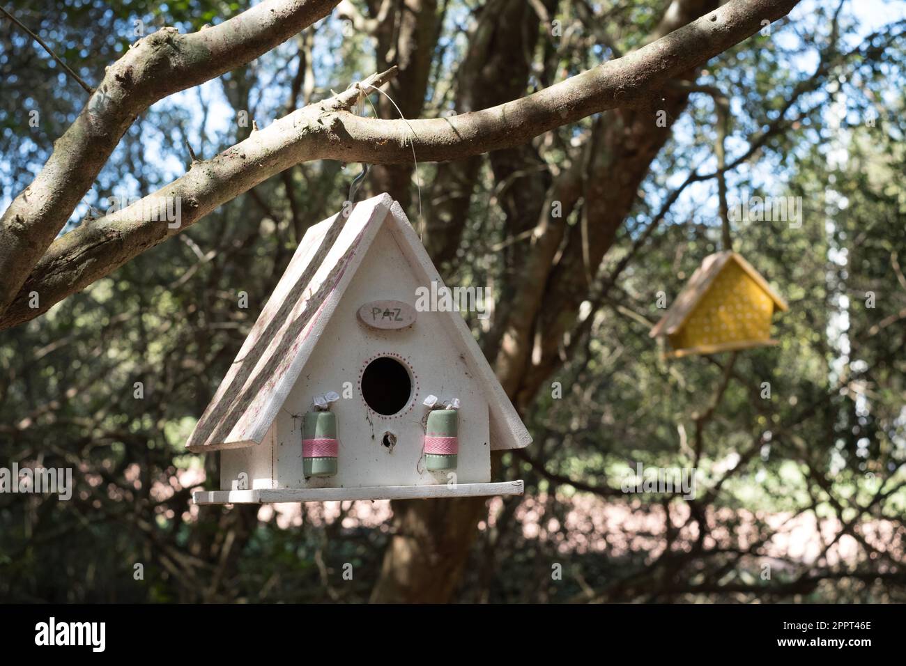 birdhouses a forma di piccole cabine appese ad alcuni alberi in un giardino di una casa Foto Stock