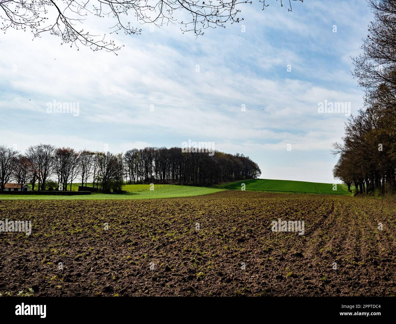 Nijmegen, Paesi Bassi. 22nd Apr, 2023. Vista sui campi in campagna. Ogni anno, il 22 aprile, più di un miliardo di persone celebra la Giornata della Terra per proteggere il pianeta da fattori come l'inquinamento e la deforestazione. Grazie alle ultime piogge nei Paesi Bassi, la campagna sembra più verde che mai. Infine, le temperature hanno cominciato ad aumentare, così sempre più persone possono essere viste a piedi intorno alle foreste olandesi. Credit: SOPA Images Limited/Alamy Live News Foto Stock