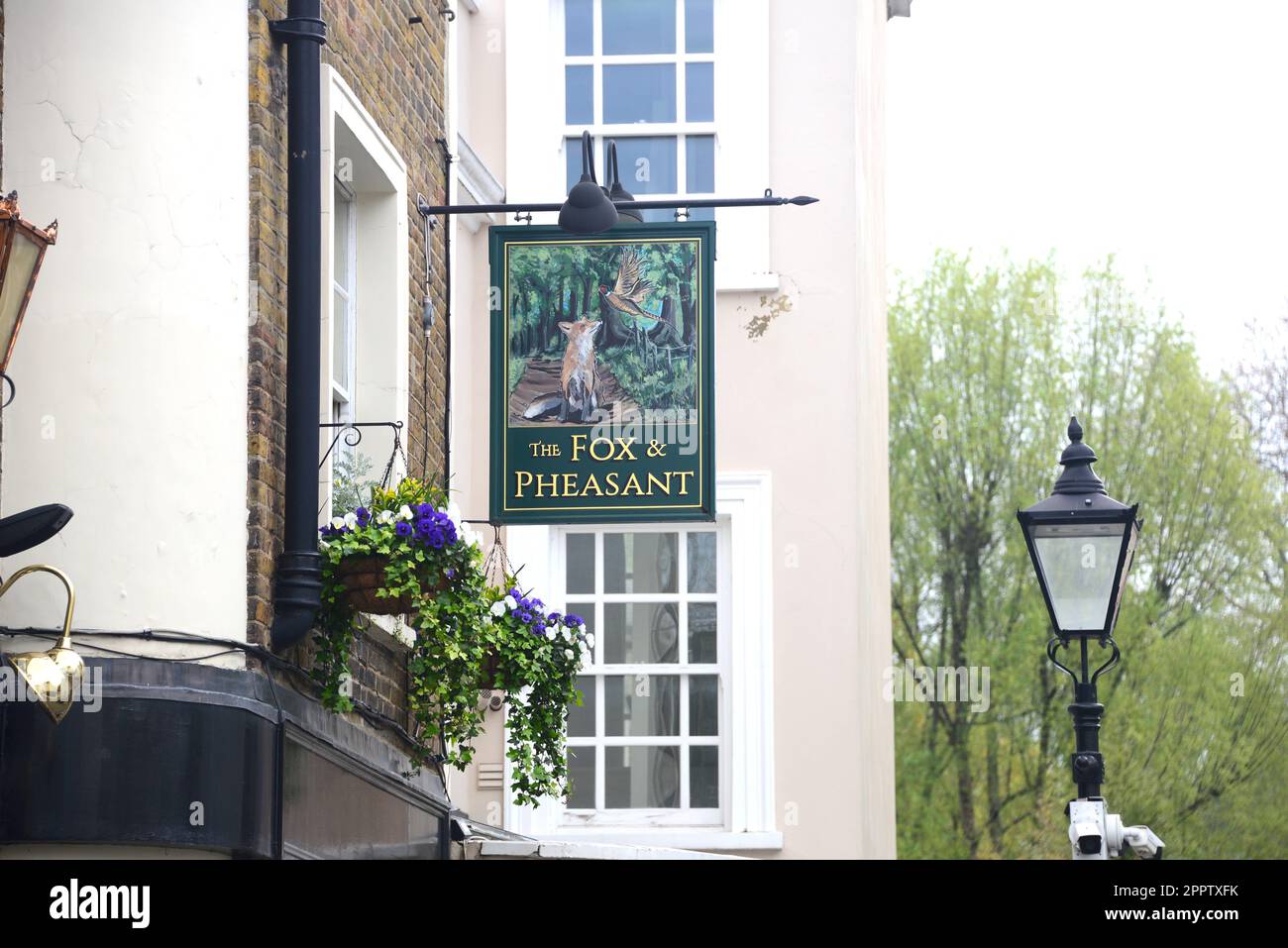 The Fox & Pheasant pub di proprietà del cantante James Blunt, Billing Street, Chelsea, Londra Foto Stock