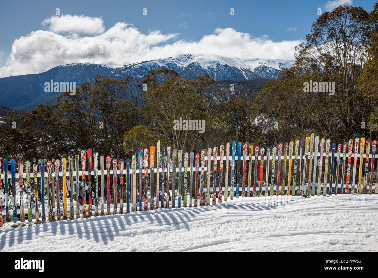 Recinzione sciistica in montagne invernali assolate e idilliache Foto Stock