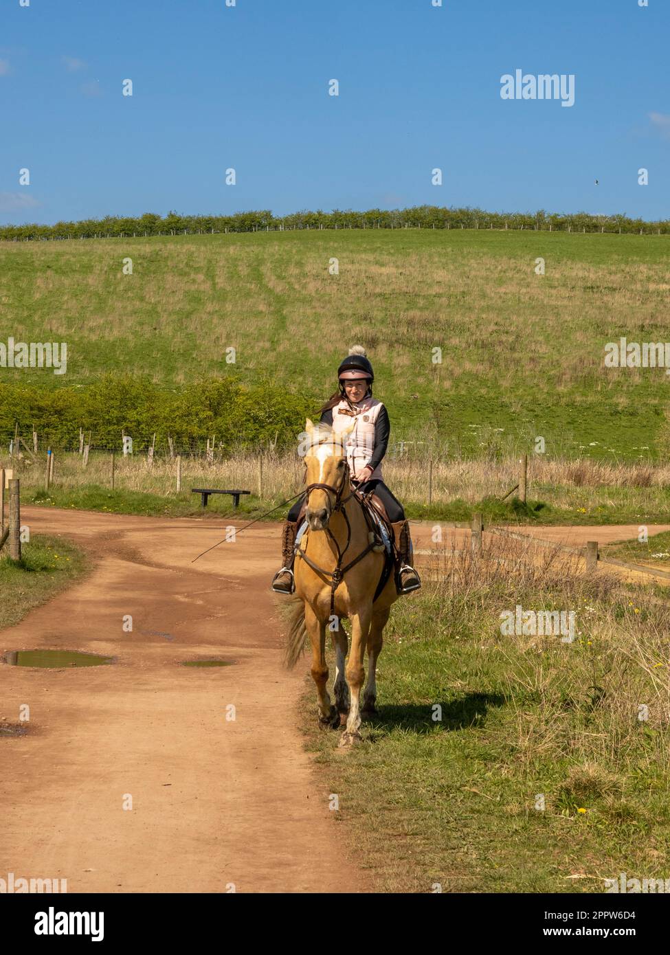 Cavallo e cavaliere Palomino su una pista nel St Aidan's Park, Leeds. Foto Stock