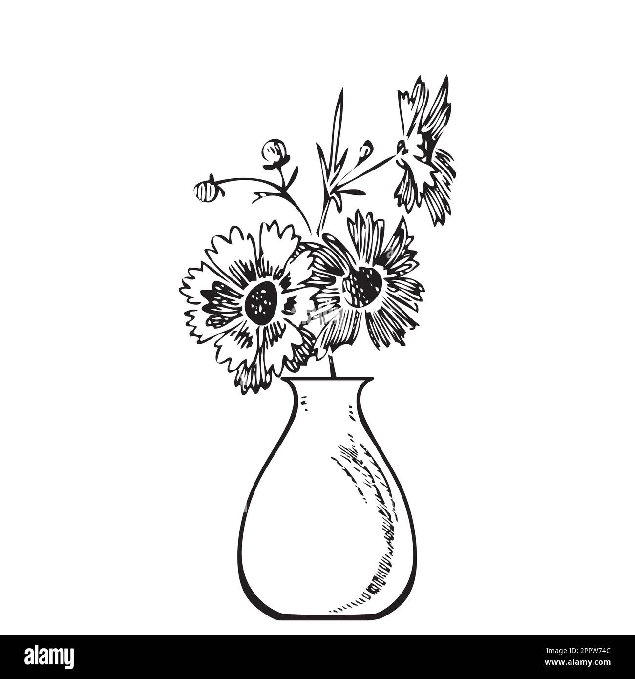 Bouquet chrysanthemum in vaso disegnato a mano. Incisione dello schizzo. Linee nere isolate su sfondo bianco. Illustrazione vettoriale, biglietto d'auguri, compleanno, design di branding, stampa, cartolina, arredamento, matrimonio Illustrazione Vettoriale