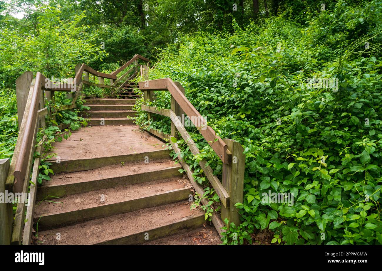 Parco nazionale Indiana Dunes del lago Michigan Foto Stock