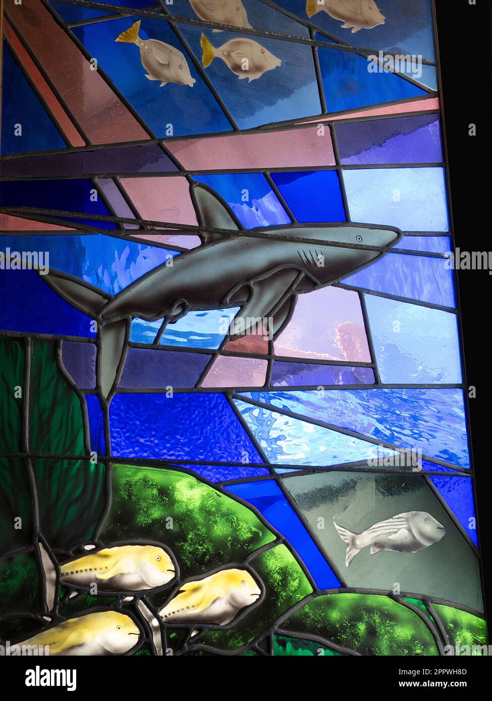 Vetrate trovate alla chiesa di Santa Marianita, Puerto Ayora, Santa Cruz, Isole Galapagos, Ecuador. Foto Stock