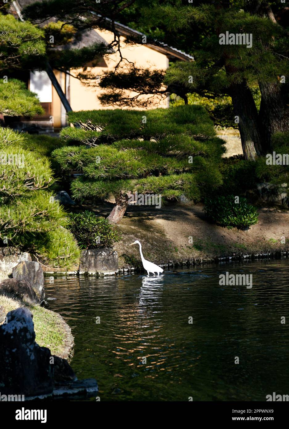 Katsura Imperial Villa costruita come una proprietà principesca nel 17th ° secolo è uno dei migliori esempi di architettura giapponese e di design del giardino. Foto Stock