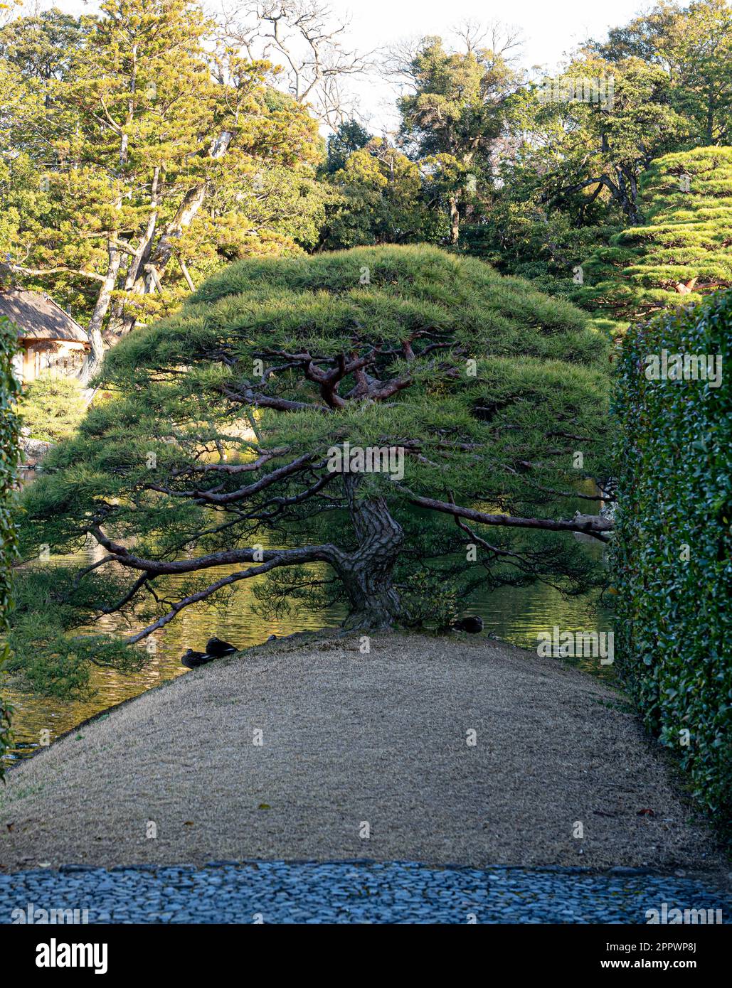 Katsura Imperial Villa costruita come una proprietà principesca nel 17th ° secolo è uno dei migliori esempi di architettura giapponese e di design del giardino. Foto Stock