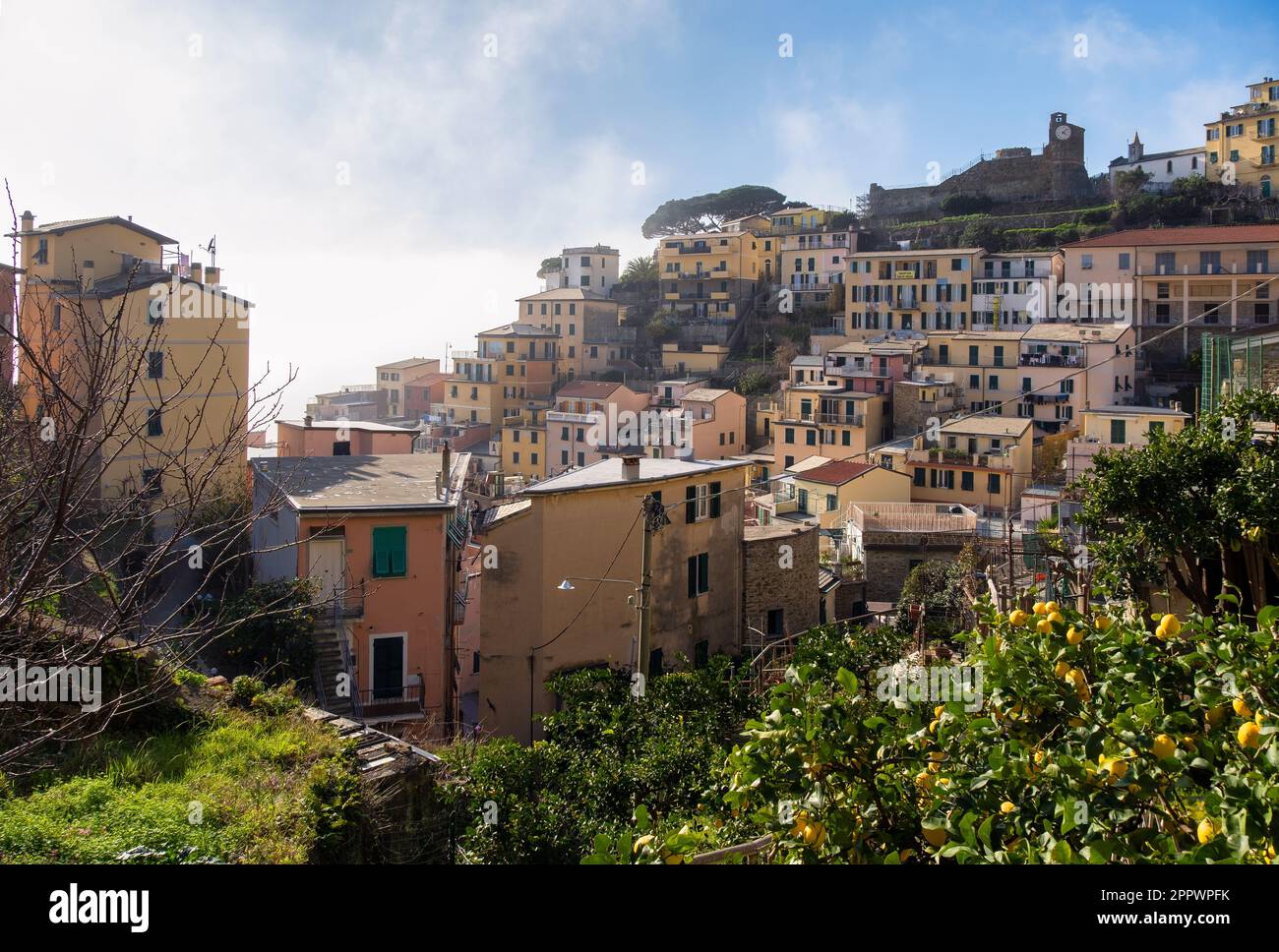 Villagescape, Riomaggiore, Liguria, Italia Foto Stock