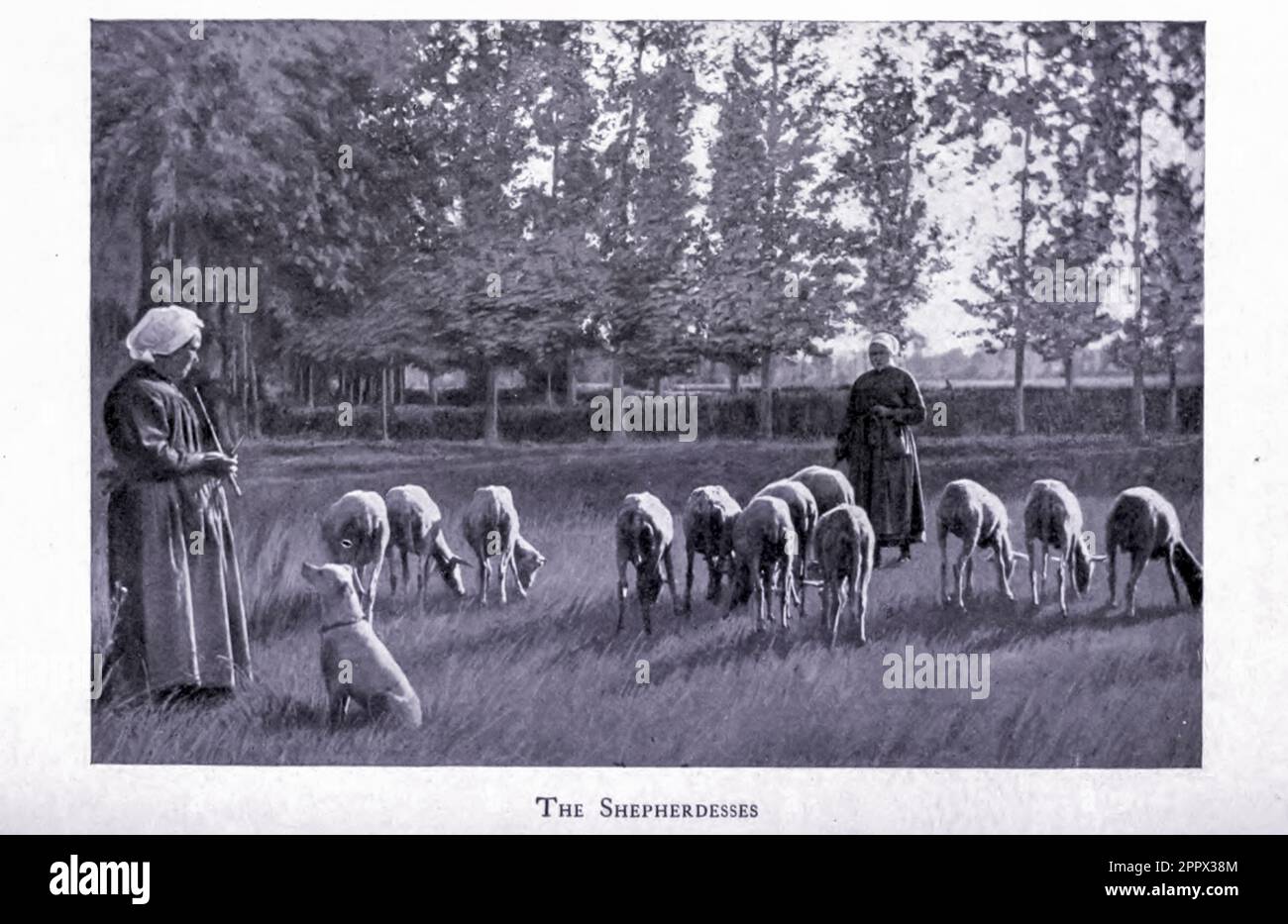 Le Shepherdesses dal libro ' Along French byways ' di Clifton Johnson, 1865-1940 Data di pubblicazione 1907 Editore New York The Macmillan Company Foto Stock