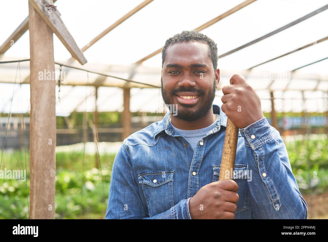 Ritratto di un contadino sorridente maschio che indossa una camicia in denim blu in serra Foto Stock