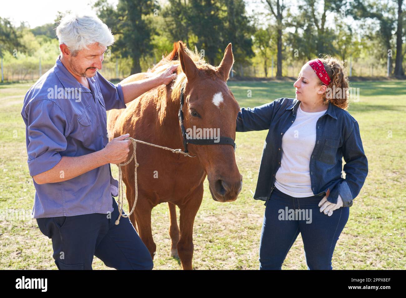 Donna e uomo in possesso di cavallo marrone in ranch fattoria Foto Stock