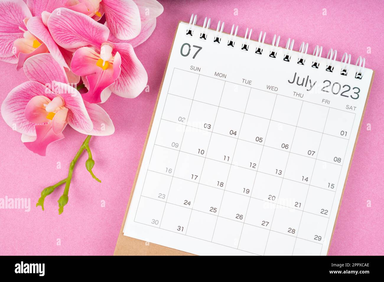 Luglio 2023 scrivania calendario e orchidea rosa su sfondo di colore rosa. Foto Stock