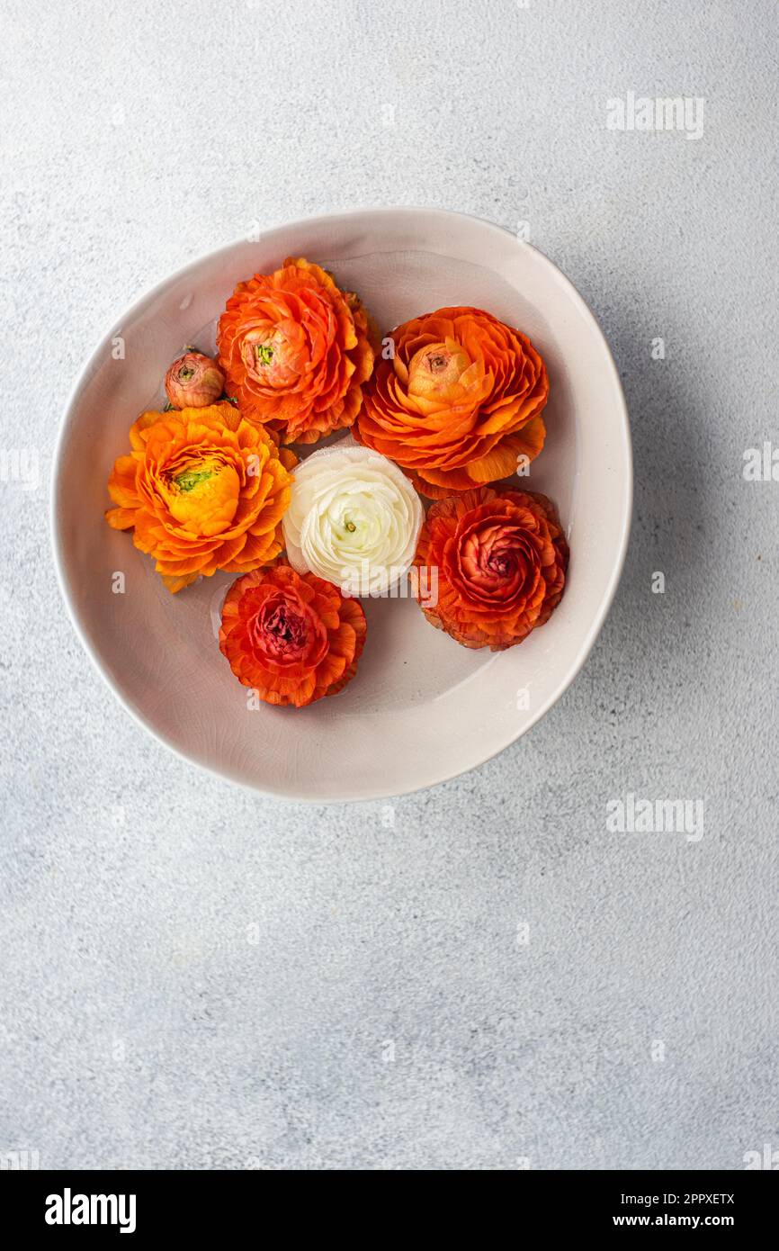 Vista dall'alto della decorazione d'interni con ciotola piena di testa di fiori Ranunculus su tavolo di cemento Foto Stock