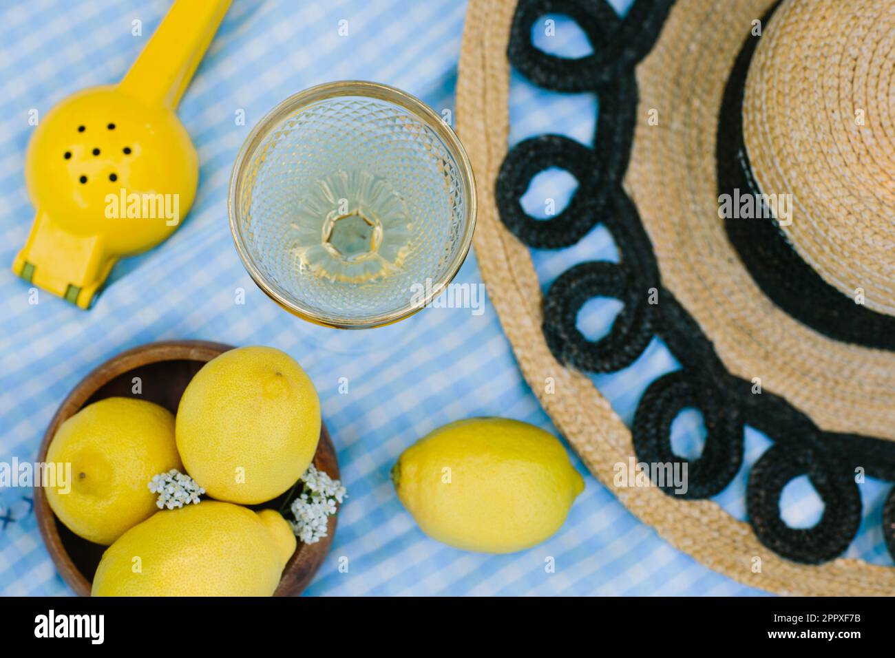 Composizione di wineglass trasparente posto su tessuto a scacchi blu vicino a limoni gialli maturi e spremiagrumi durante il pic-nic Foto Stock