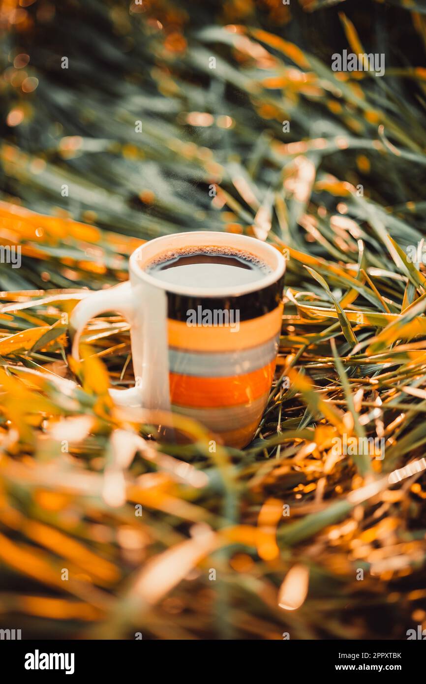 Una tazza di caffè all'aperto. Un'atmosfera fresca. Foto Stock