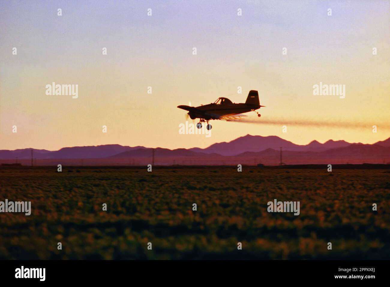 Aeroplano a propulsione singola che spruzza pesticidi sul campo nella valle centrale della California durante le attività al crepuscolo Foto Stock