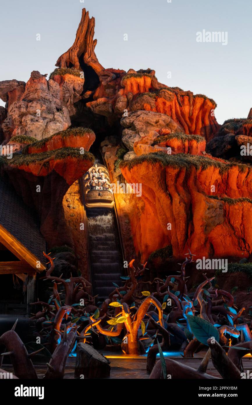 Splash Mountain è molto divertente. Foto Stock