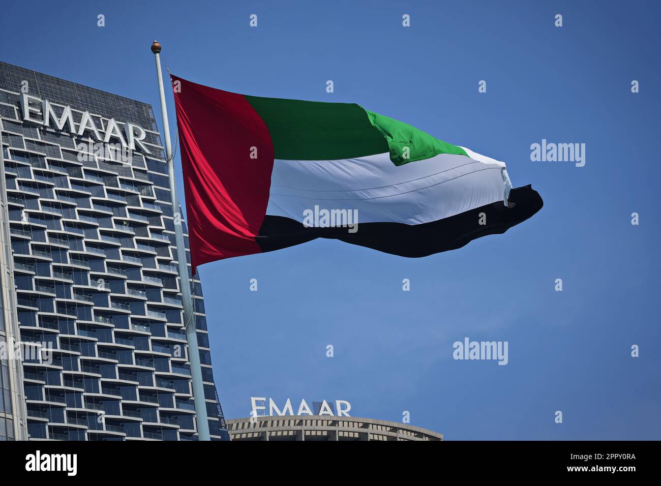 Bandiera degli Emirati Arabi Uniti. Foto Stock