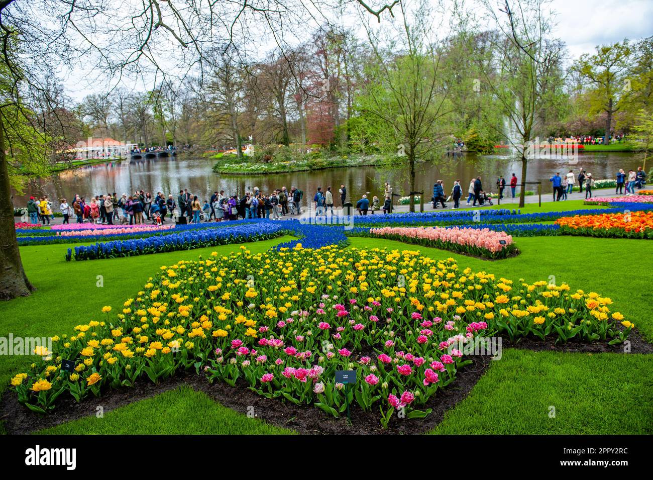 Tulipani si vedono smaltiti nella forma di un enorme tulipano. Keukenhof è anche conosciuto come il Giardino d'Europa, uno dei più grandi giardini fioriti del mondo, e si trova a Lisse, nei Paesi Bassi. Oltre ai milioni di tulipani, narcisi e giacinti nel parco, il fiore all'interno dei padiglioni è diventato più grande e più bello. Fino al 14 maggio 2023 si prevede che oltre 1 milioni di persone provenienti da tutto il mondo visiteranno la mostra. Keukenhof contribuisce in tal modo in modo in misura considerevole ai settori del turismo e della floricoltura olandesi. (Foto di Ana Fernandez/SOPA Images/Sipa USA) Foto Stock