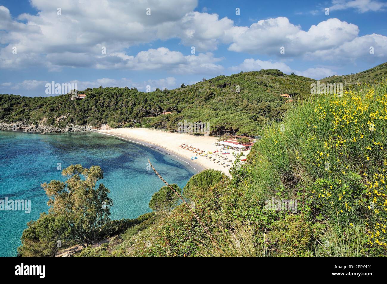 Spiaggia di Fetovaia,Isola d'Elba,Toscana,mar mediterraneo,Italia Foto Stock