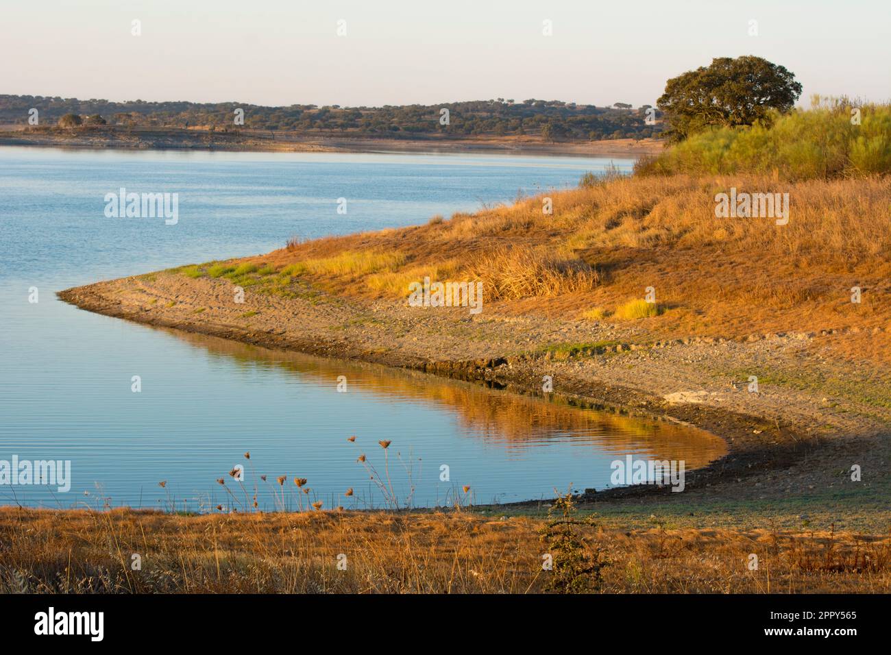 bella e tranquilla riva del fiume in curva a s con riflessi mattutini Foto Stock
