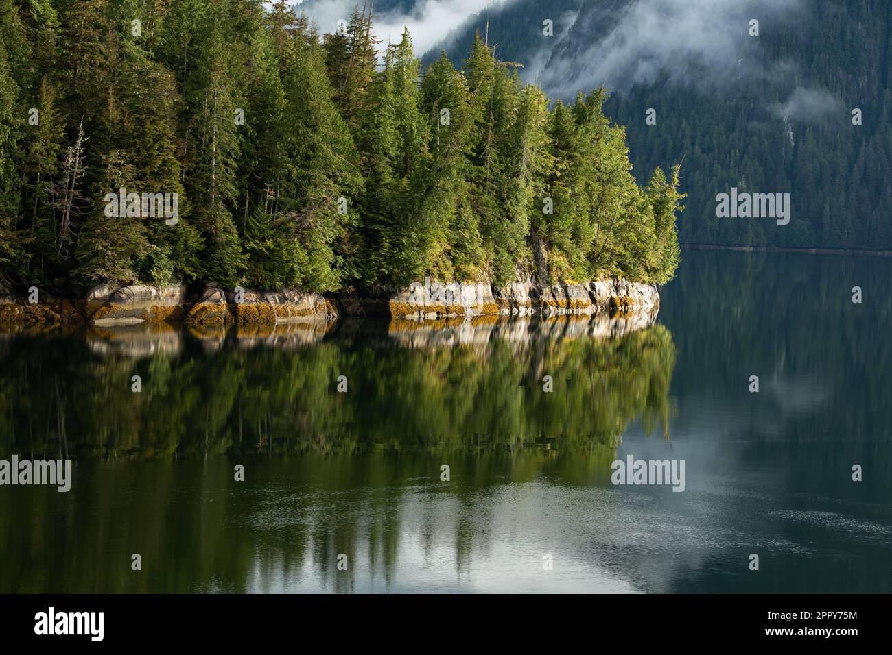 Tranquilla scena di Misty Fjords National Monument Wilderness, Ketchikan Gateway, Alaska Foto Stock