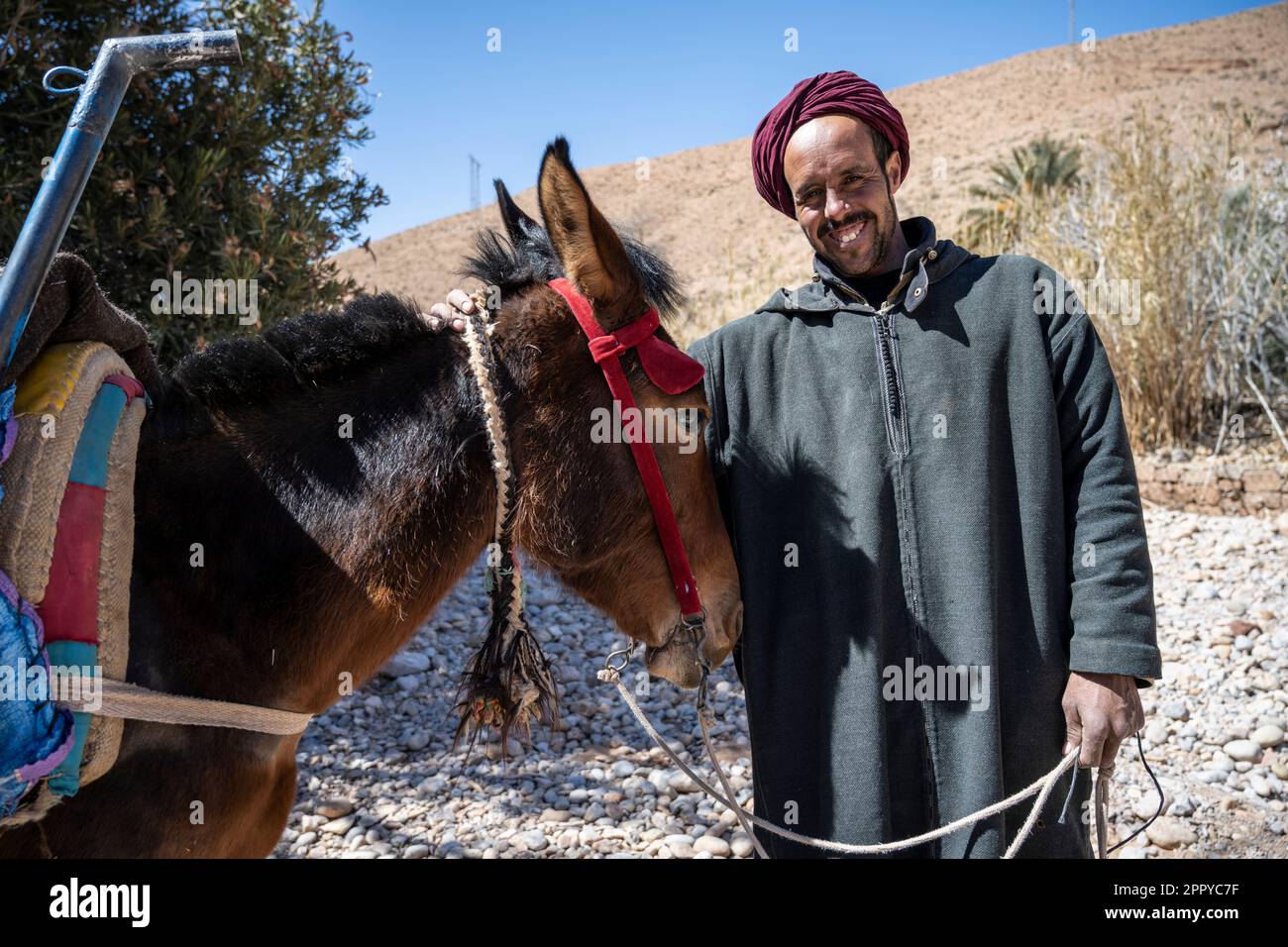 L'uomo berbero vestito con la tradizionale djellaba, con un mulo. Foto Stock