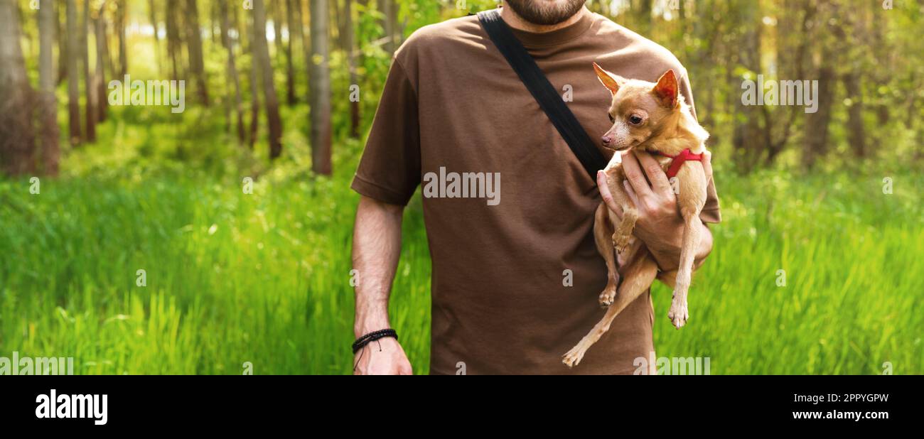 L'uomo proprietario di animali domestici tiene in mano il suo piccolo cane da giro all'aperto nel parco. Foto Stock
