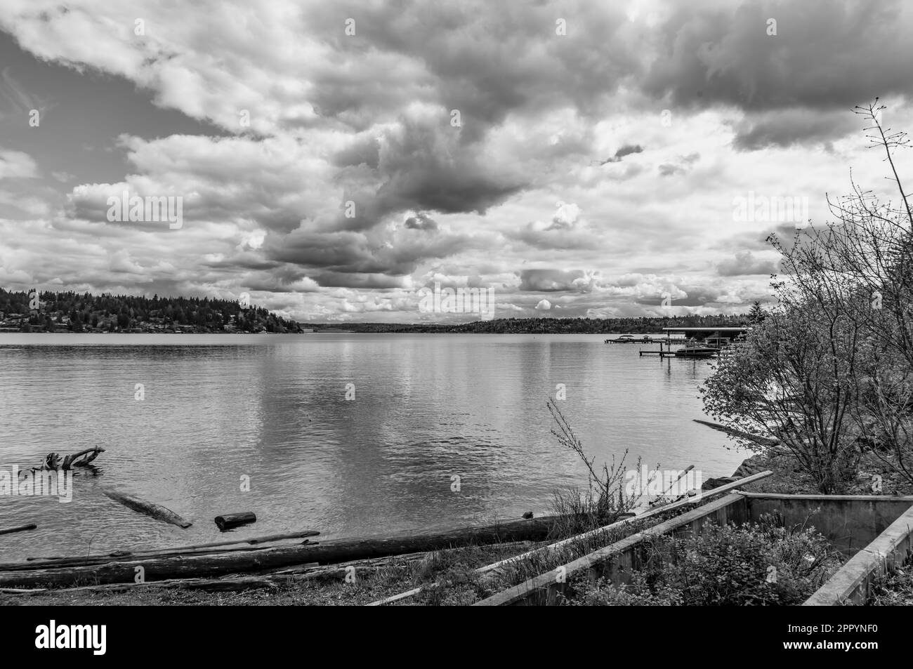 Le nuvole si trovano sul lago Washington vicino al Seward Park di Seattle. Foto Stock