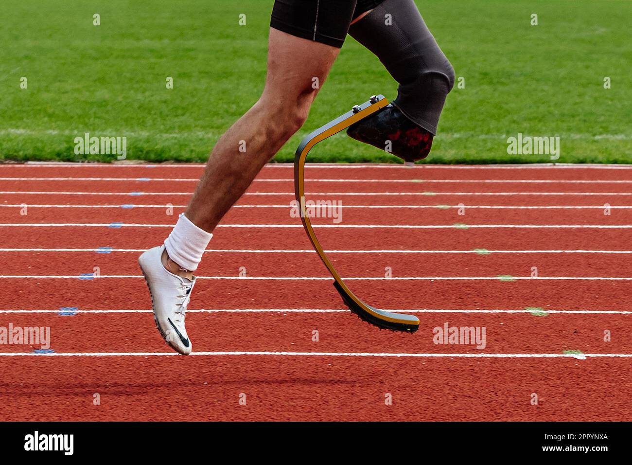 Gambe runner para-atleta su scarpe Nike Spikes pista da corsa stadio, campionato estivo di para atletica Foto Stock