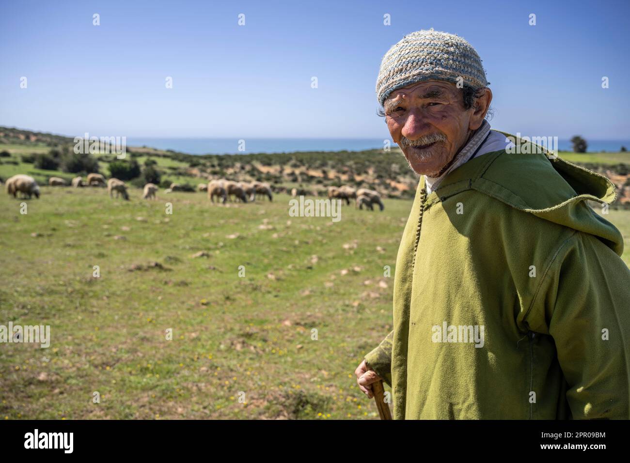 Ritratto di un pastore anziano vestito da una djellaba verde che mandava il suo gregge nelle vicinanze di Asilah. Foto Stock