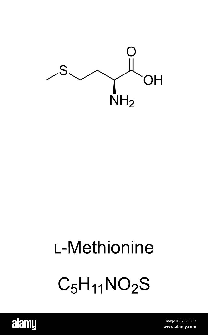 L-metionina, formula chimica e struttura, amminoacido essenziale Illustrazione Vettoriale
