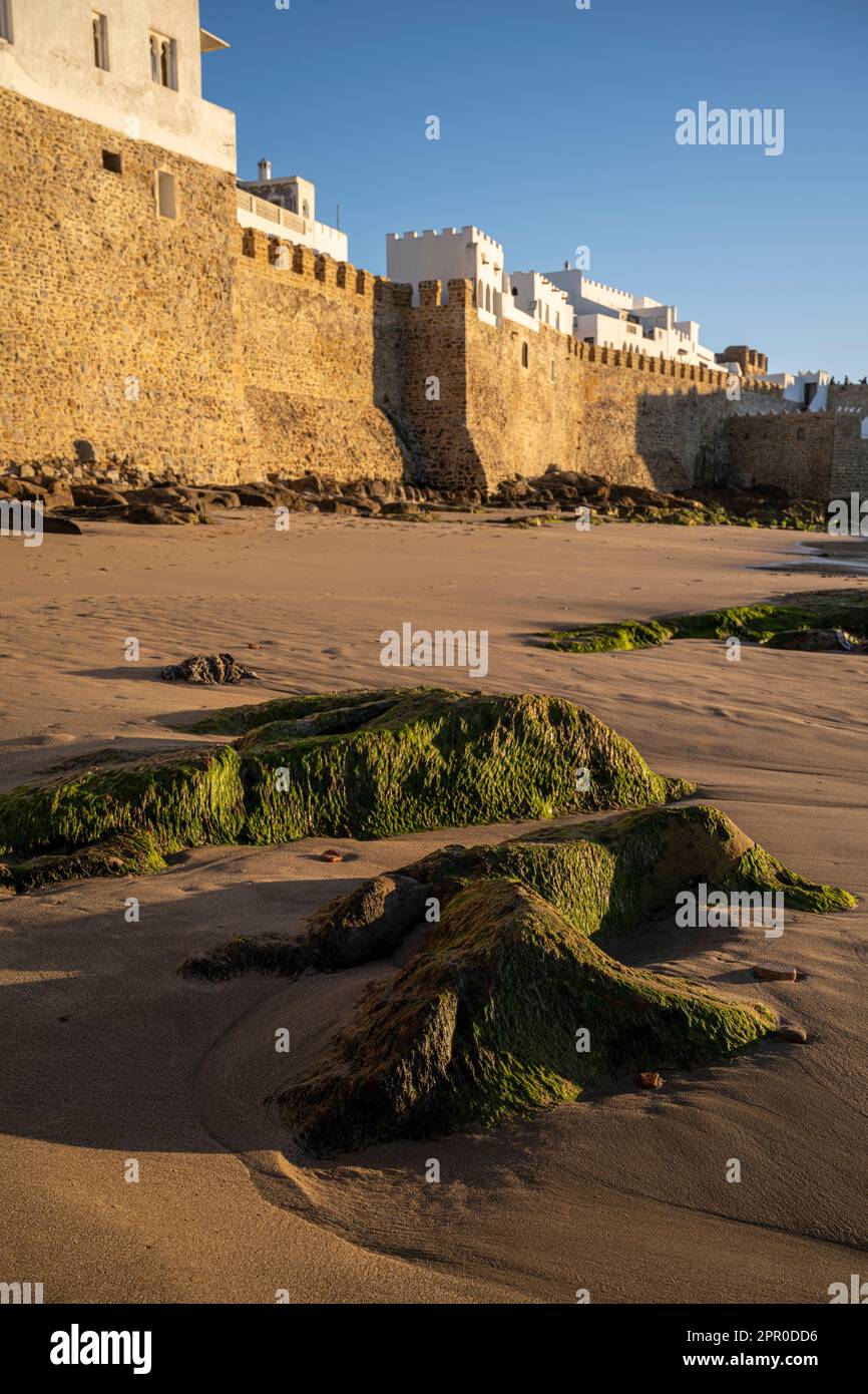 Mura fortificate della medina di Asilah visto dalla costa al tramonto. Foto Stock