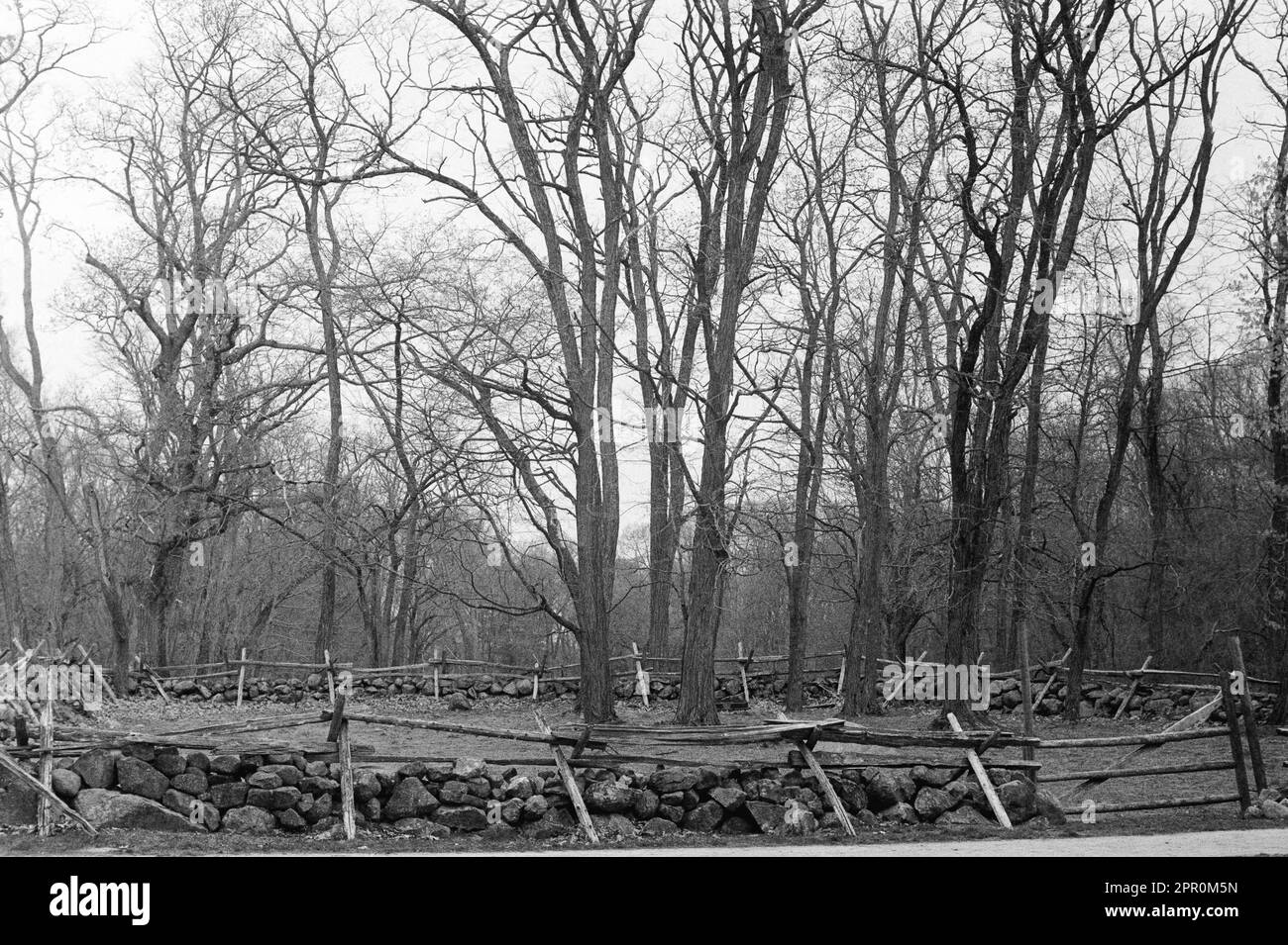 Una vista del pascolo e degli alberi di Hartwell Tavern e Yard su Battle Road in una giornata primaverile nel Parco storico Nazionale Minuteman Foto Stock