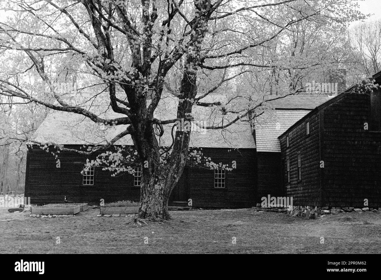 Una veduta posteriore della Taverna Hartwell e del cortile sulla Battle Road in una giornata primaverile nel Parco storico Nazionale Minuteman. Lexington, Massachusetts Foto Stock