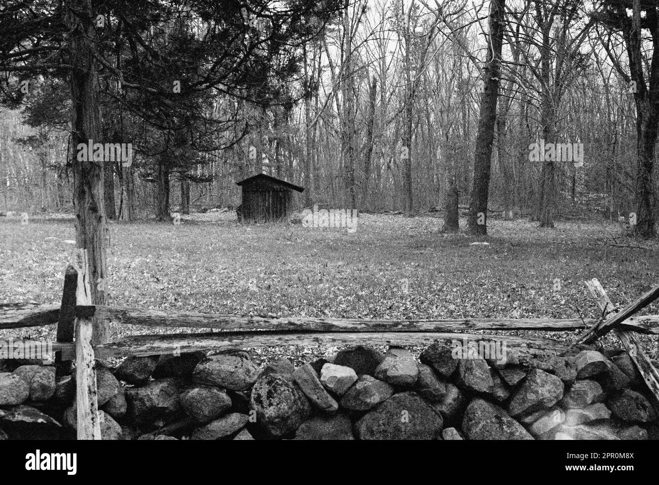 Un vecchio capannone di legno si trova in un pascolo abbandonato su Battle Road in una giornata primaverile nel Minuteman National Historic Park. Lexington, Massachus Foto Stock