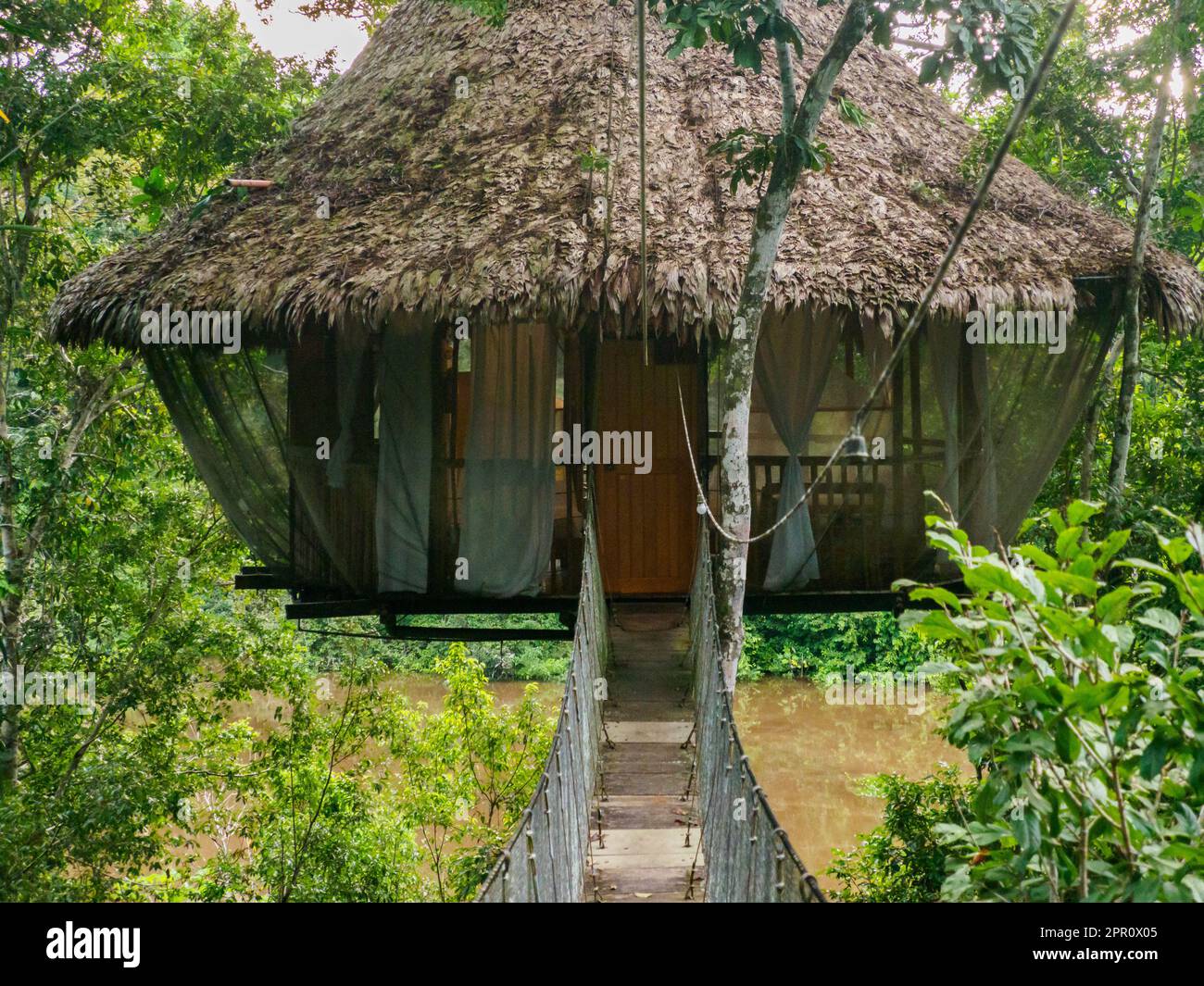 Alloggi glamping nella foresta pluviale Amazzonica. Treehouse in legno, Foresta pluviale Amazzonica, Amazzonia, Pacaya Samiria National Reserve, Perù, Sud America. Foto Stock