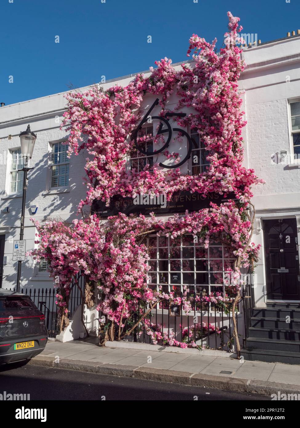 Una proprietà coperta in fiore di ciliegio (no 65) in Walton Street, Londra, SW3, Regno Unito. Foto Stock