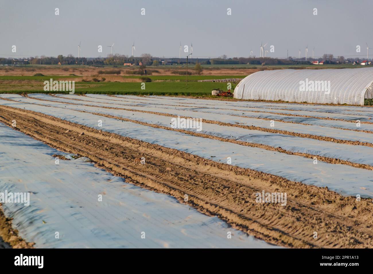 foglio su campi rurali che coprono raccolti Foto Stock