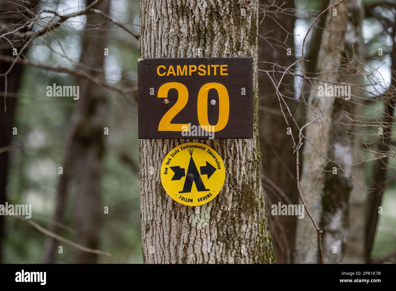 Un cartello per il campeggio selvaggio numero 20 inchiodato ad un albero nelle montagne Adirondack, NY USA foresta. Foto Stock