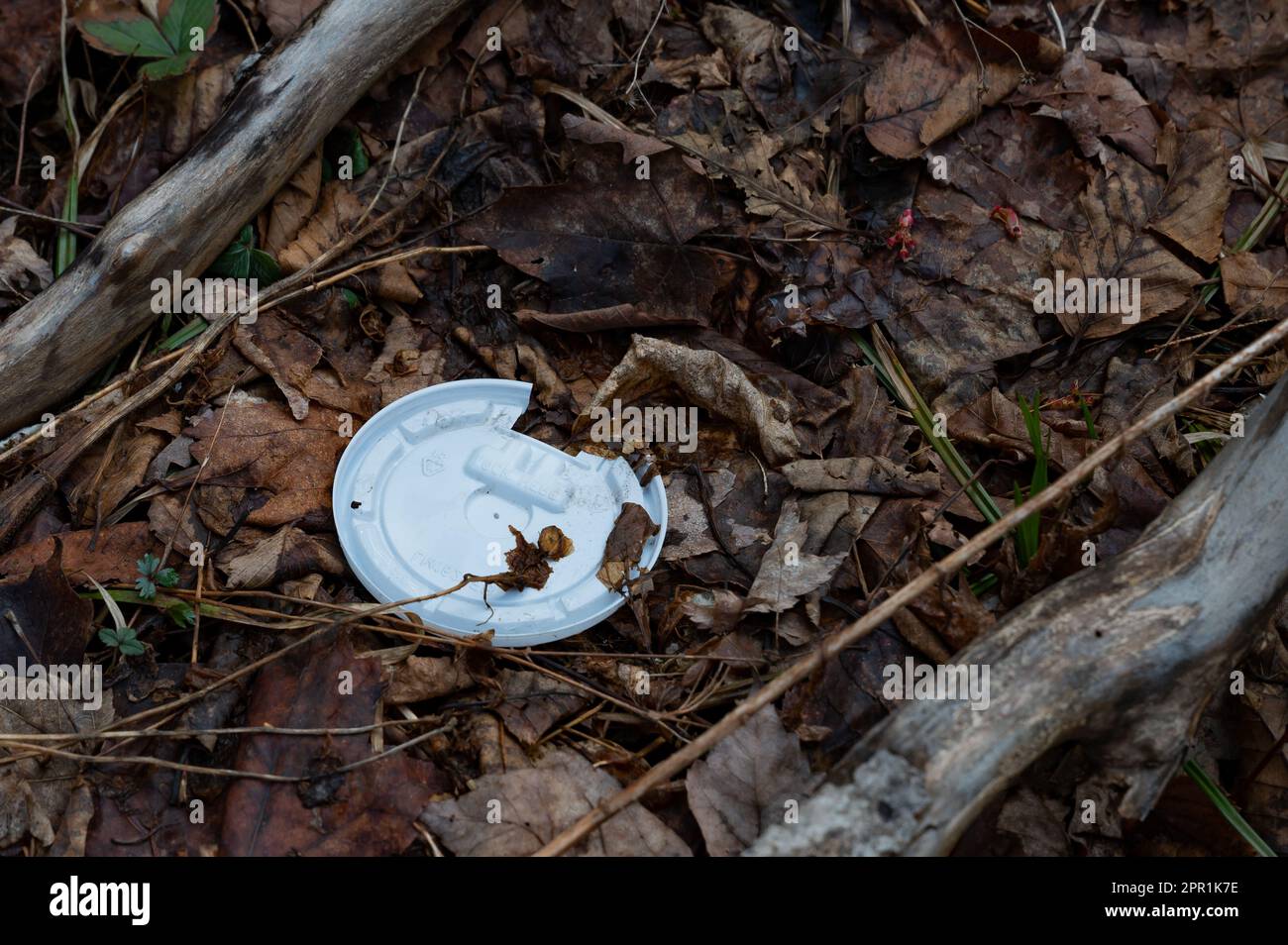 Un coperchio bianco di plastica da una tazza di caffè gettata nelle foglie sul pavimento della foresta nelle montagne Adirondack, NY Stati Uniti selvaggio. Foto Stock