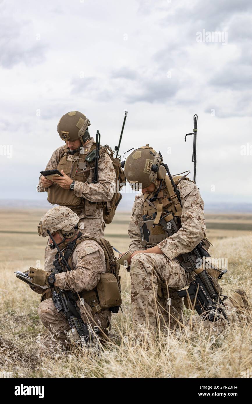 STATI UNITI Marines con 1st Marine Division ha simulato il supporto in aria stretta durante l'esercizio Garnet Rattler sulla Saylor Creek Range a Grasmere, Idaho, 17 aprile 2023. Garnett Rattler è un esercizio congiunto tra Marines e Airmen per addestrare i controller di attacco terminale congiunto a essere più efficienti e letali in un ambiente di formazione realistico. (STATI UNITI Corpo marino foto di CPL. Dean Gurule) Foto Stock