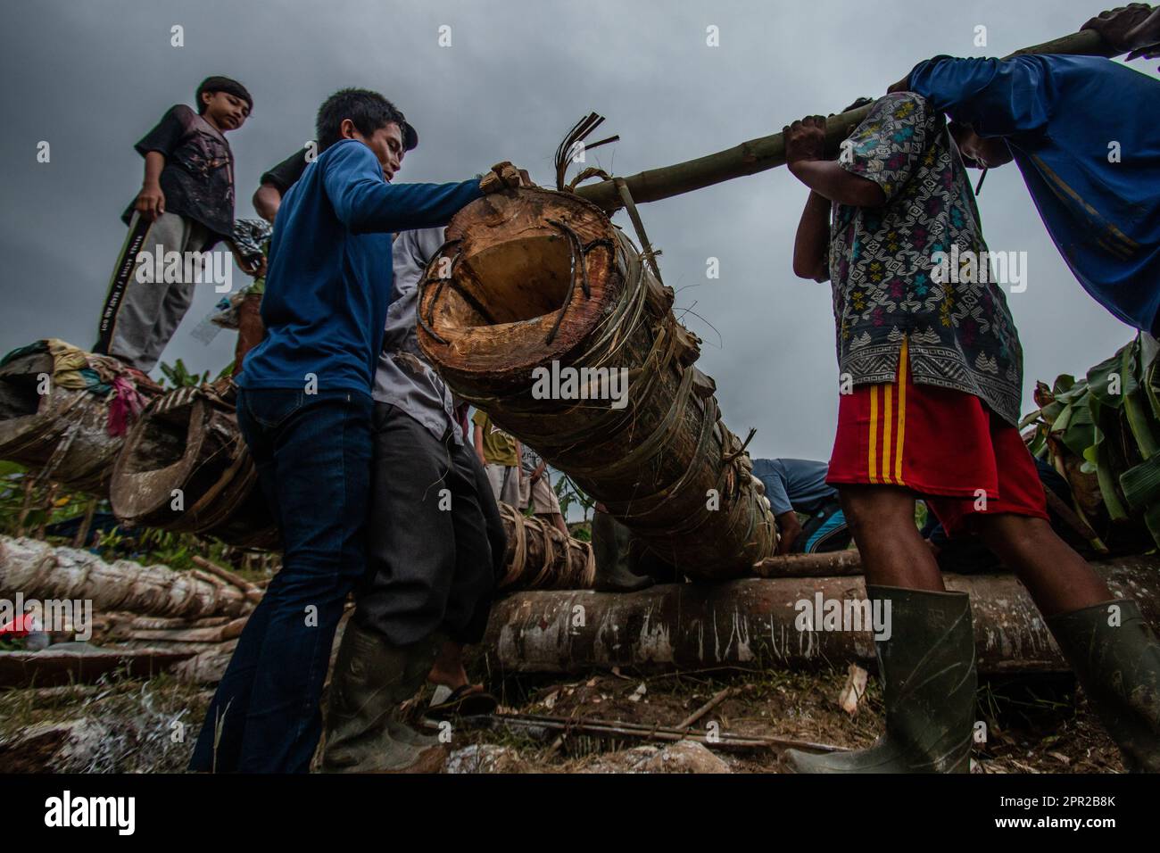 I residenti del villaggio di Cihanjawar, Bogor, Giava occidentale, Indonesia, hanno fatto cannoni da alberi di Randu il 25 aprile 2023 per il festival culturale Foto Stock