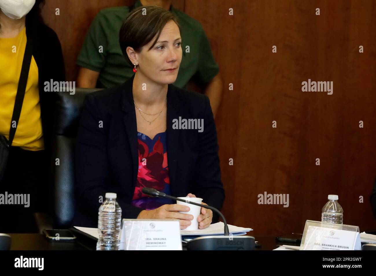 25 aprile 2023, Città del Messico, Messico: Shauna Hemingway, vice ambasciatore del Canada in Messico durante l'incontro di lavoro con la Commissione Affari di confine al Senato messicano a Città del Messico. Il 25 aprile 2023 a Città del Messico, Messico (Foto di Luis Barron / Eyepix Group). Foto Stock