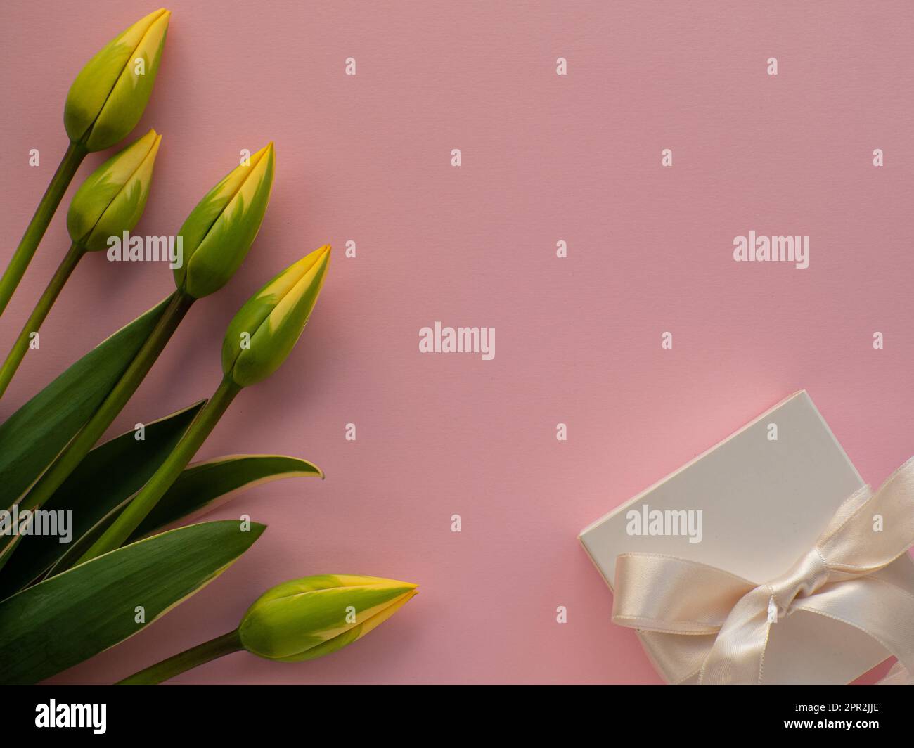 Fiori tulipani gialli e scatola regalo con arco legato bianco su sfondo rosa con spazio copia. Biglietto di auguri per la Giornata della donna e della mamma. Compleanno complimenti Foto Stock